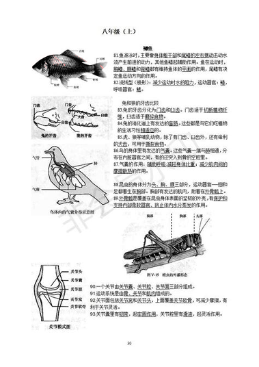 高考生物知识大全