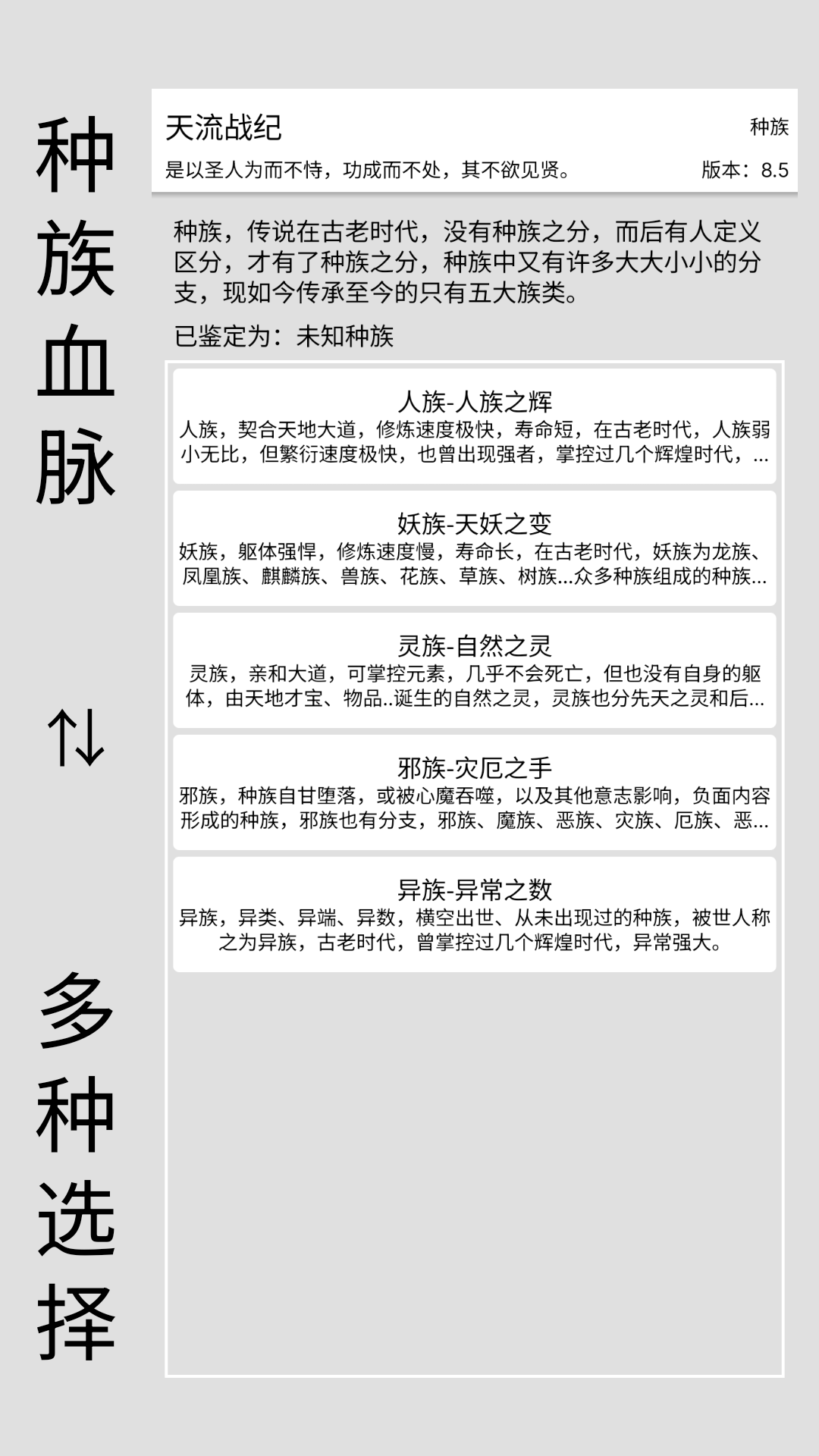 天流战纪