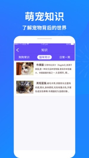 萌宠猫狗