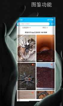宠时代
