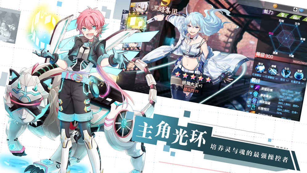 代号y