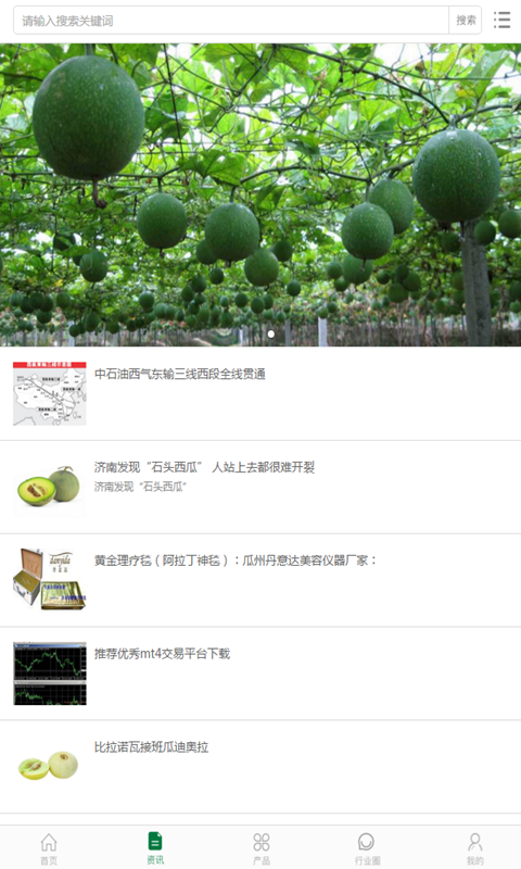 中国杜瓜产业