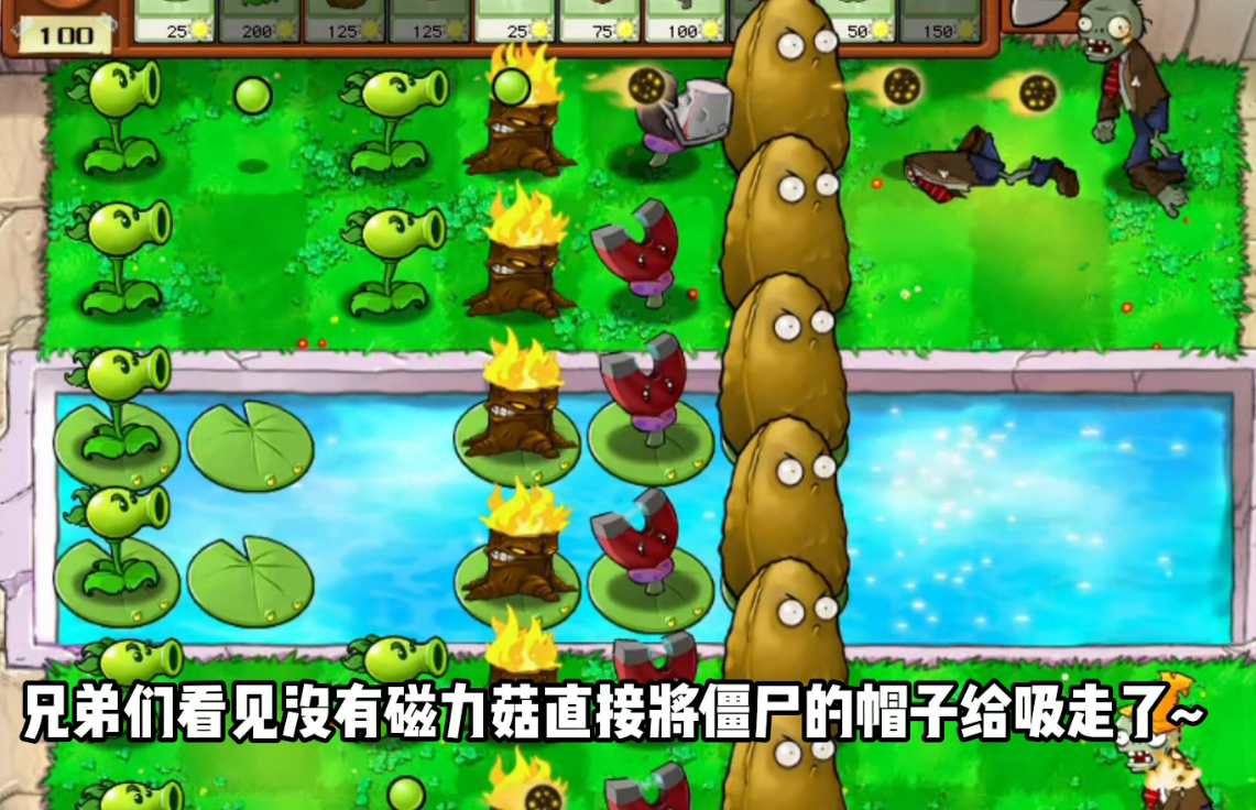 植物大战僵尸坚不可摧在哪里看