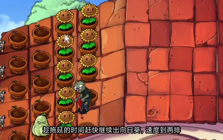 植物大战僵尸跳跳僵尸怎么对付