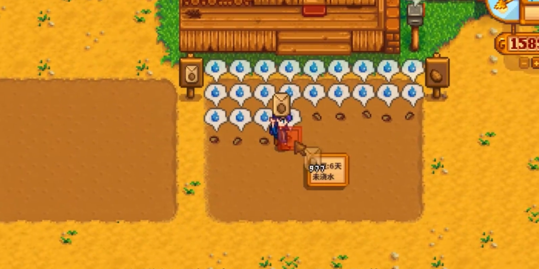 星露谷物语10级耕种怎么选