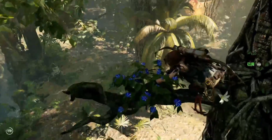 古墓丽影暗影秘鲁丛林挑战怎么做