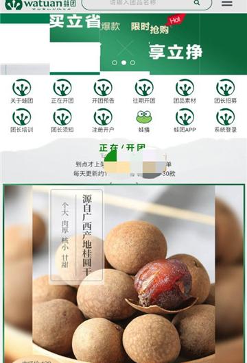 蛙团小蛙