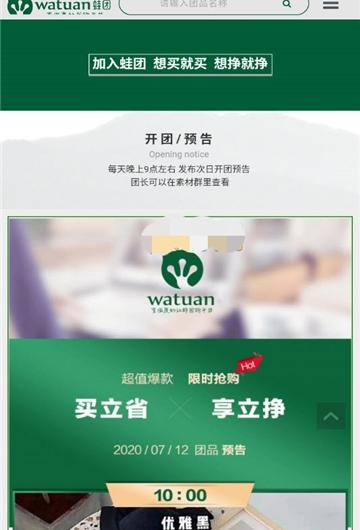 蛙团小蛙