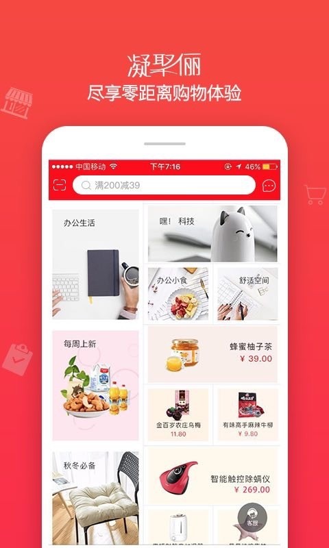 凝聚俪